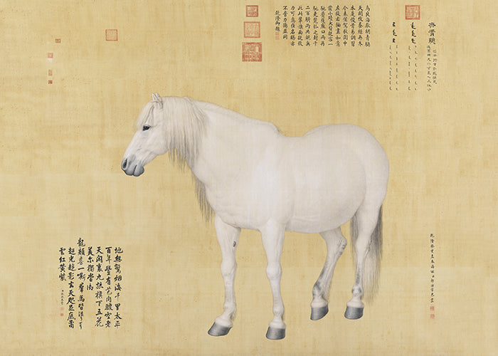 Horse Benxiaocong
