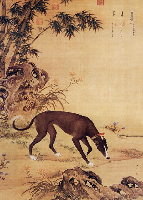 Chinese Dog 4