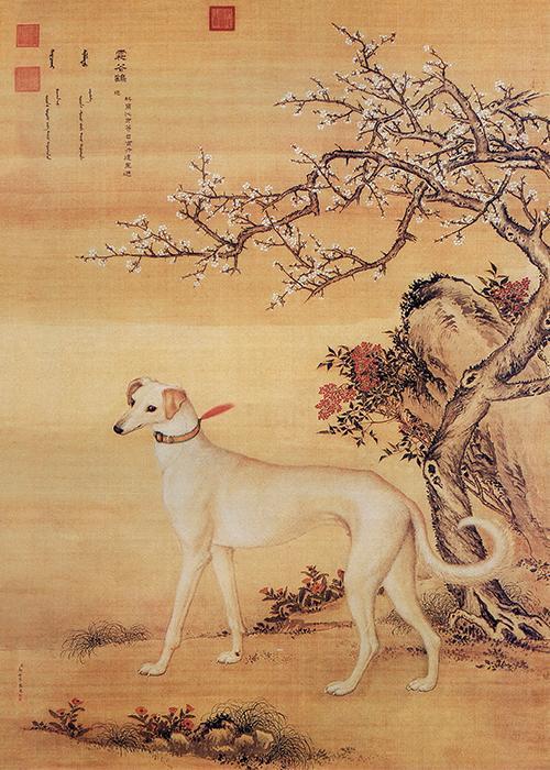Chinese Dog 5
