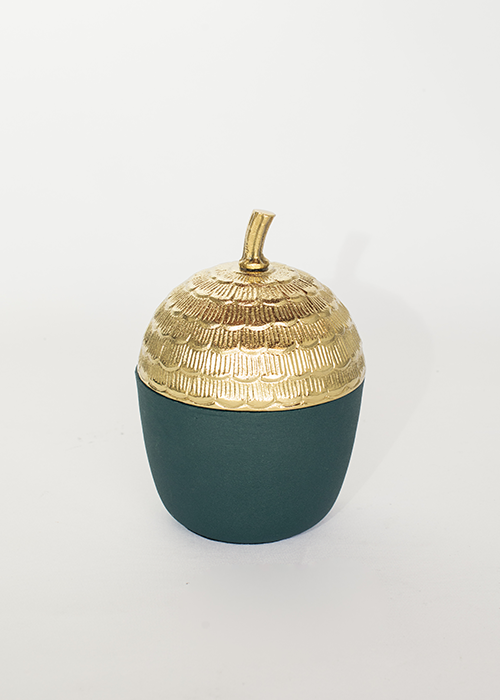 Load image into Gallery viewer, Green Powder Coated/Gold Container