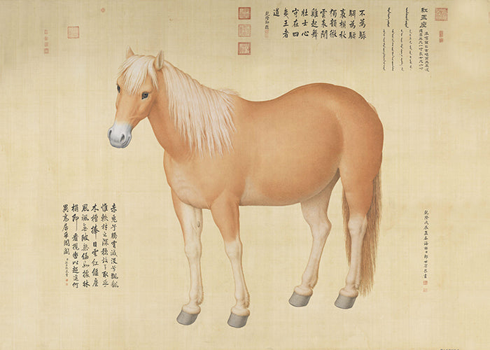Horse Hongyuzuo 01