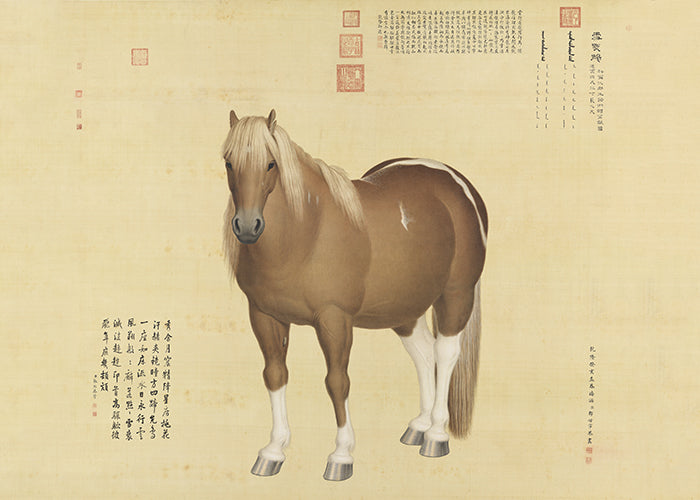 Horse Hongyuzuo