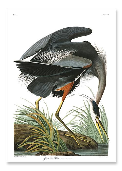 Load image into Gallery viewer, The Great Blue Heron